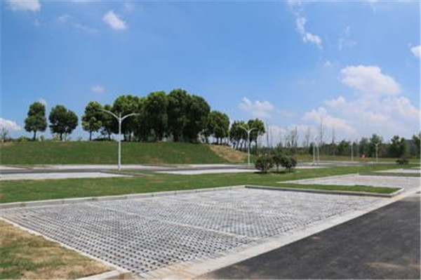 t0181fcad85825e6fb8.jpg